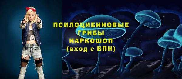 твердый Алексеевка