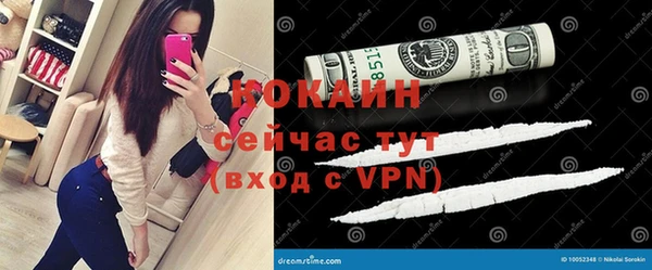 твердый Алексеевка